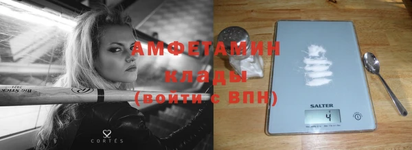 эйфоретик Няндома