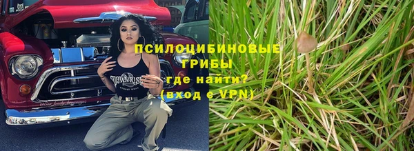 эйфоретик Няндома