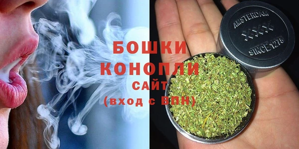 гашик Новодвинск