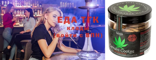 эйфоретик Няндома