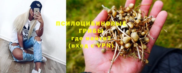 гашик Новодвинск
