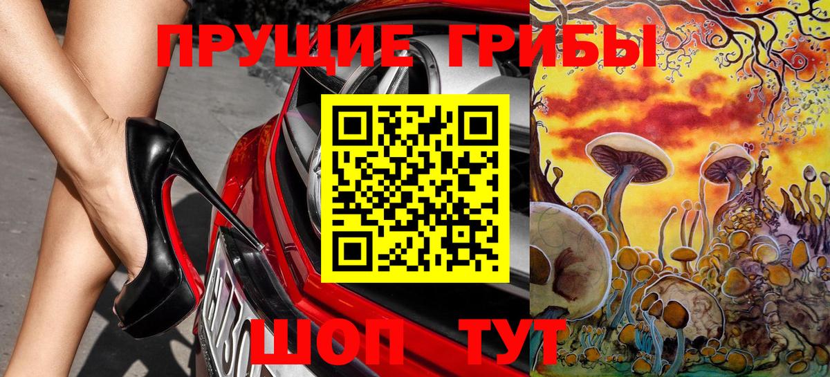 Псилоцибиновые грибы GOLDEN TEACHER Павловский Посад