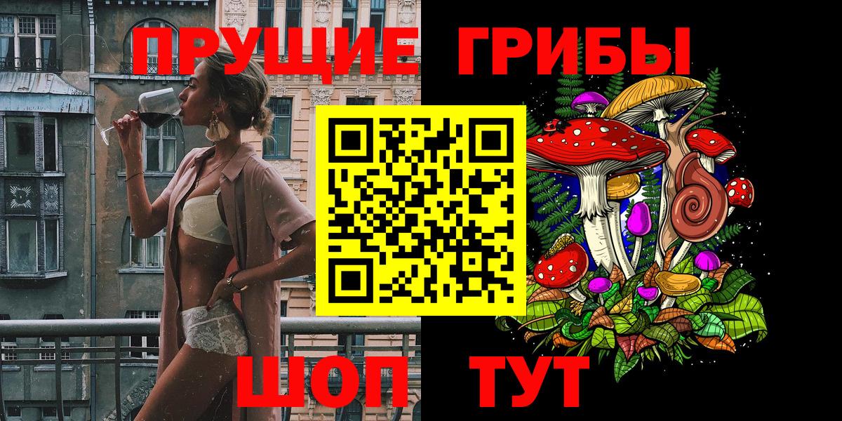 Павловский Посад  Галлюциногенные грибы Psilocybe  Вход с VPN 