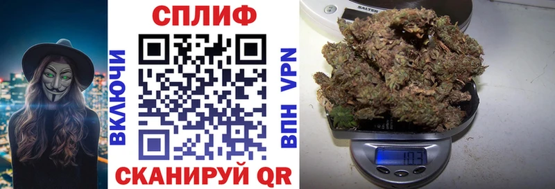 купить   Павловский Посад  дарк нет состав  Конопля ГИДРОПОН 